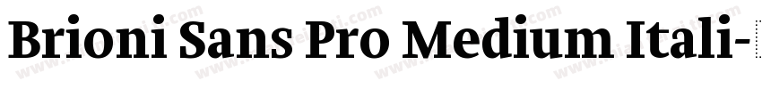 Brioni Sans Pro Medium Itali字体转换